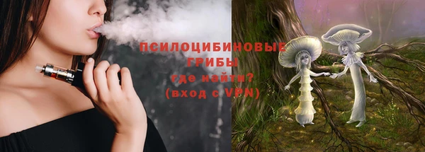 тгк Инта