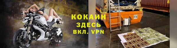 тгк Инта