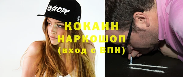 тгк Инта