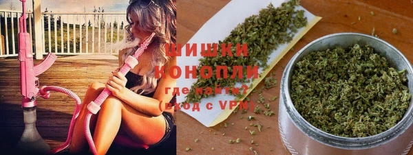 тгк Инта