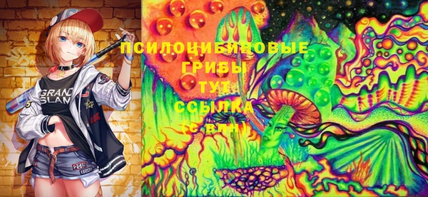 первитин Инсар