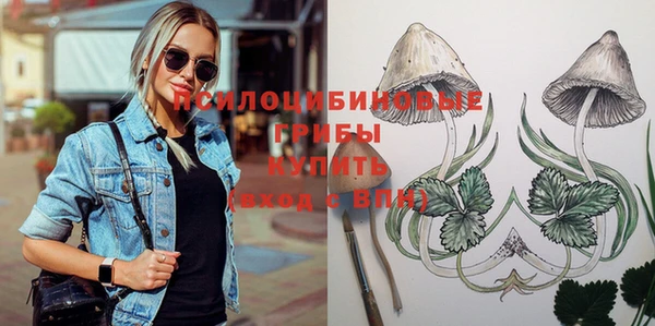 МДПВ Иннополис